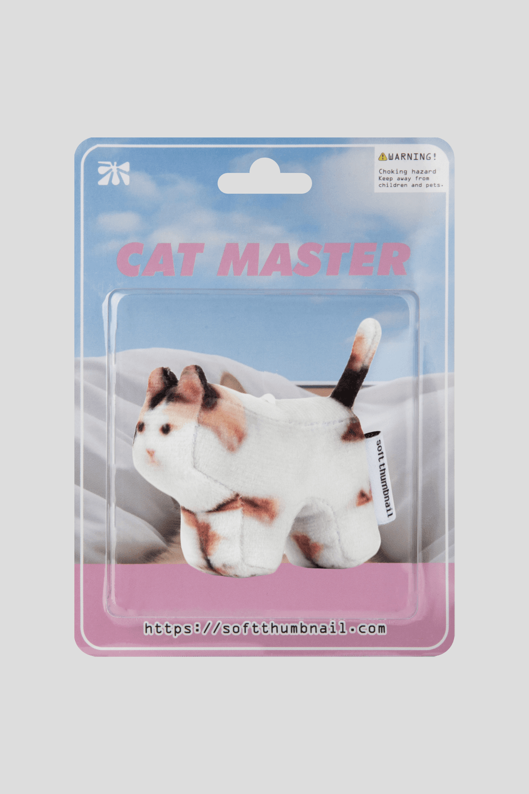 Jigoo, Domestic Shorthair