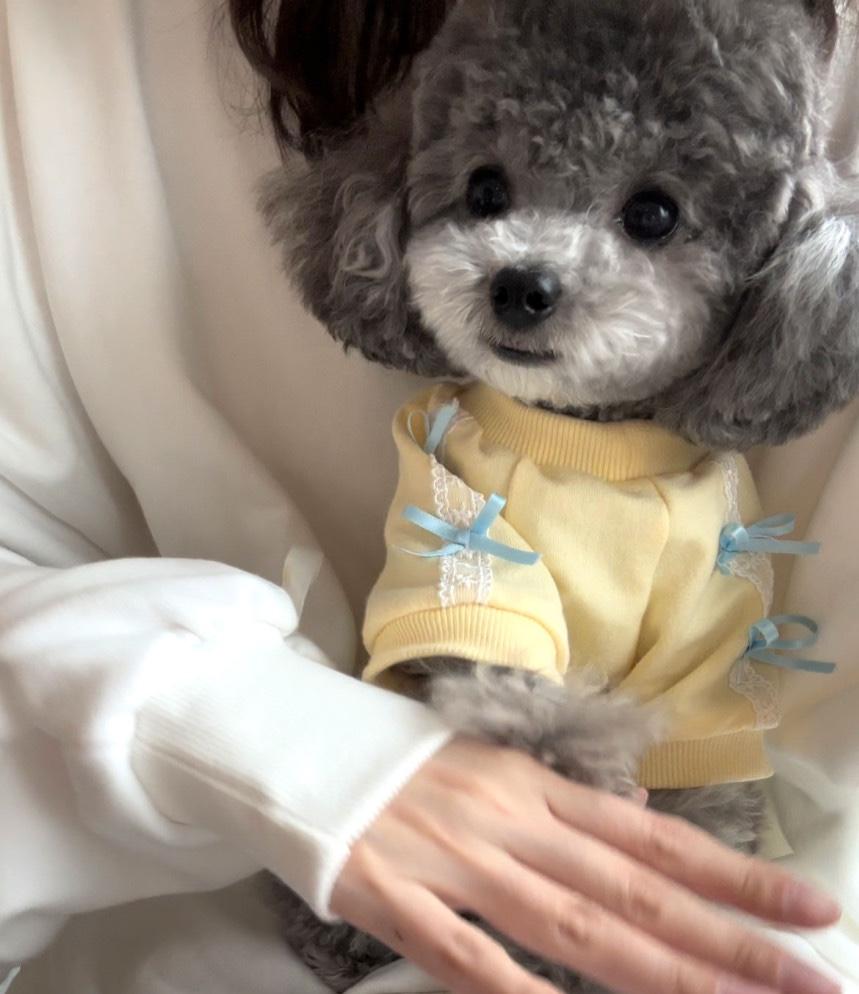 오구오구 강아지옷 리본 레이스 맨투맨 S