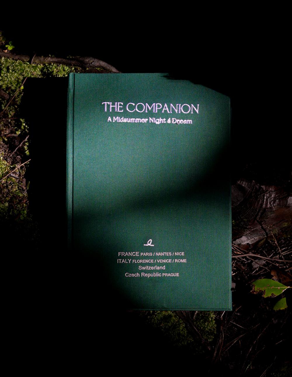 THE COMPANION