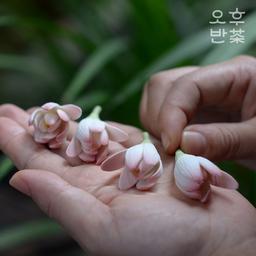 수공예 별목련 향꽂이 도자기 인센스 스틱 홀더 향 받침대 향 피우기
