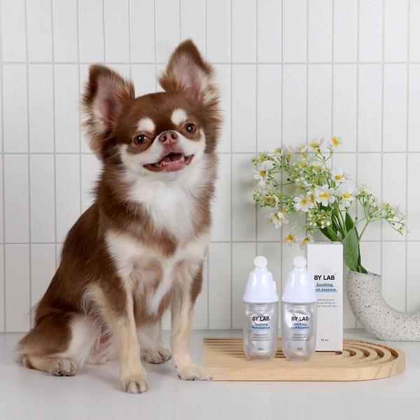 강아지 발바닥 보습제 밤 습진 갈라짐 크림 바이랩 수딩 풋 에센스