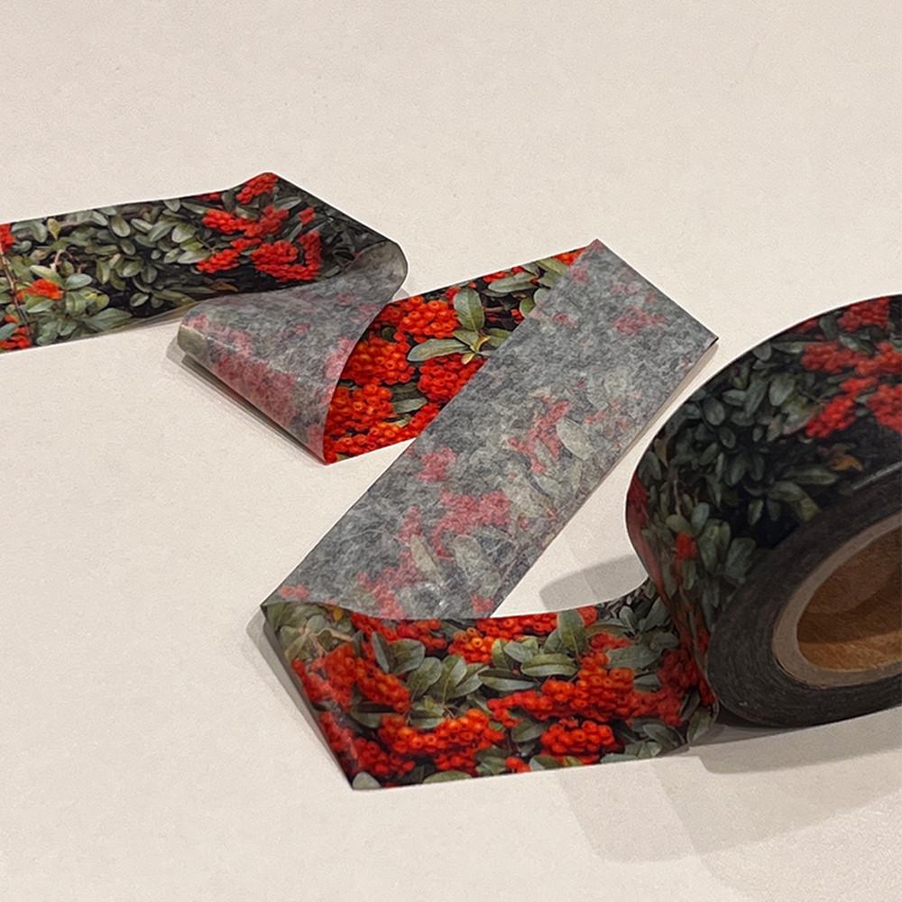 pyracantha masking tape / 불가시 마스킹 테이프 / 피라칸타