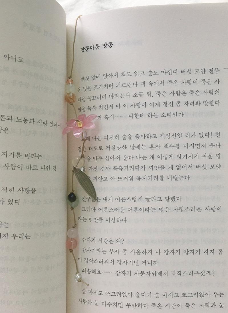 코스모스 끈갈피