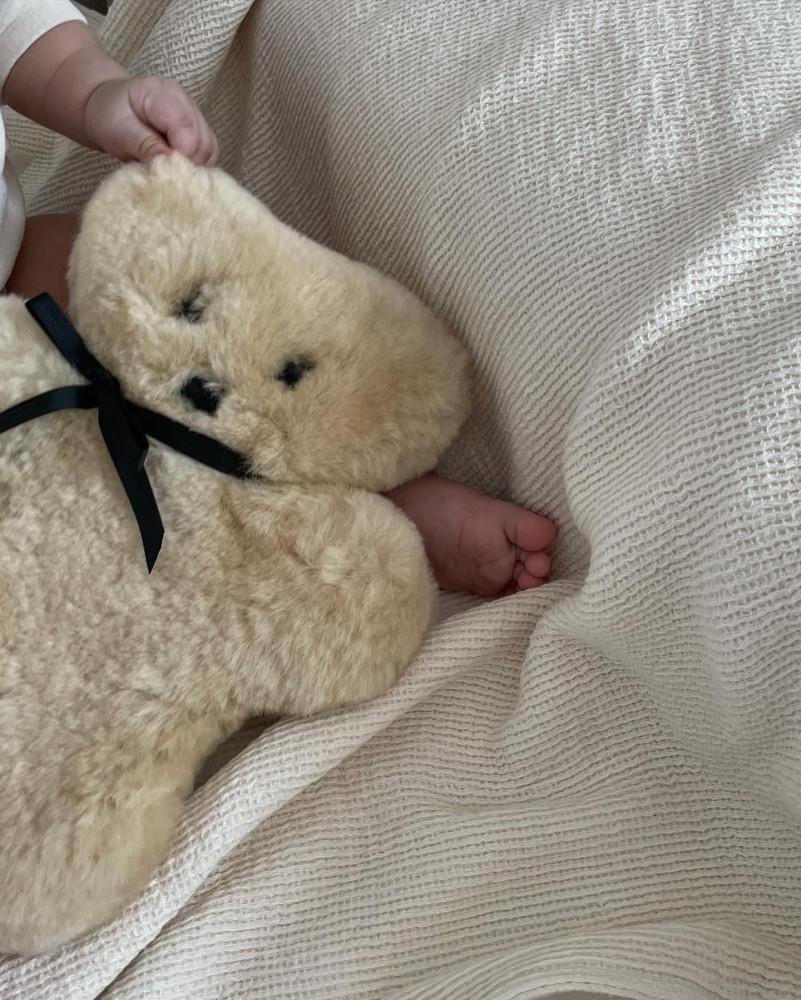 FLATOUT BEAR 플랫아웃베어 호주산 양모 곰인형  LARGE