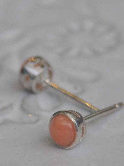 modern 20.coral