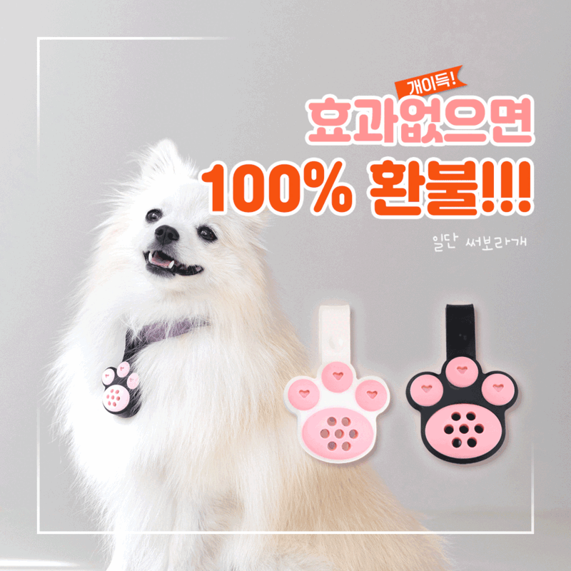 멍가드