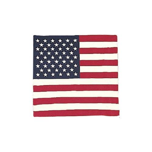 22INCH TRAINMEN BANDANA (US FLAG)