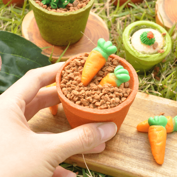 화분까지먹는 노오븐 당근젤리 컵케이크 만들기 1인 키트