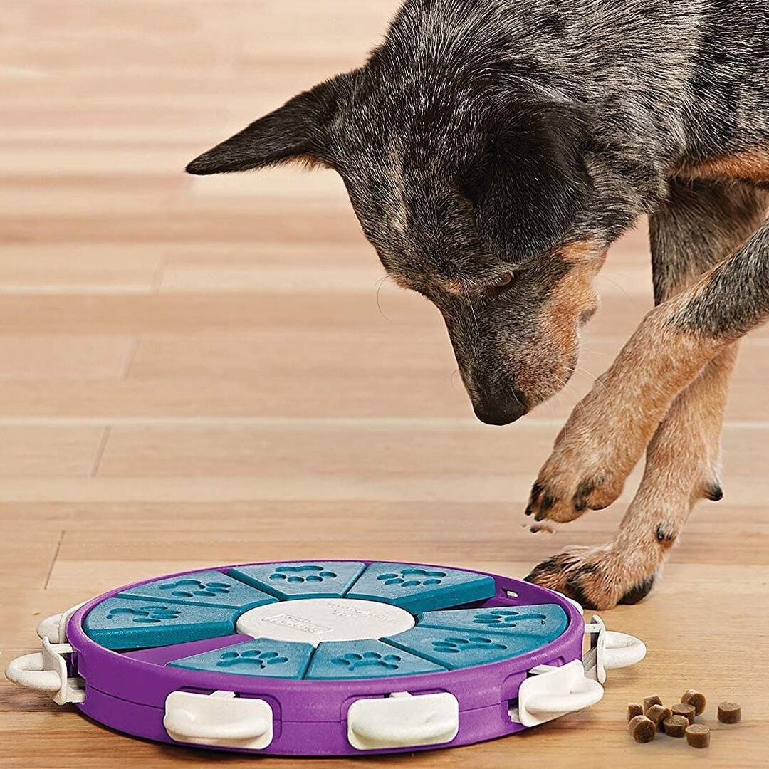 스웨덴 반려견 간식 보상 놀이 퍼즐 - Level 3 (5종)