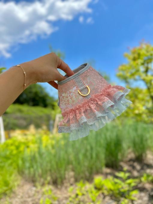 라피네 하네스 핑크