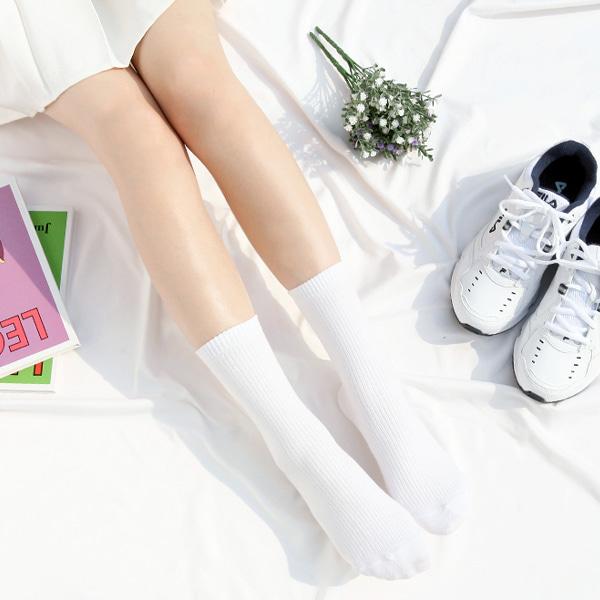 [10켤레] W617 베이직 200N 스쿨 골지 데일리 긴 양말 여자 학생