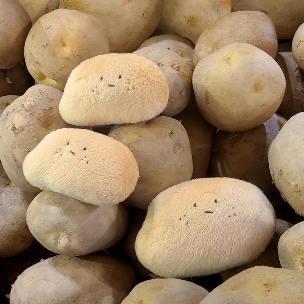 무뚝뚝한 감자뭉찌 감자인형 인형키링