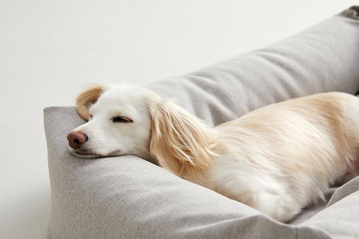 알러프리 알러지 걱정없는강아지 고양이방석 곡선형 범퍼형4size