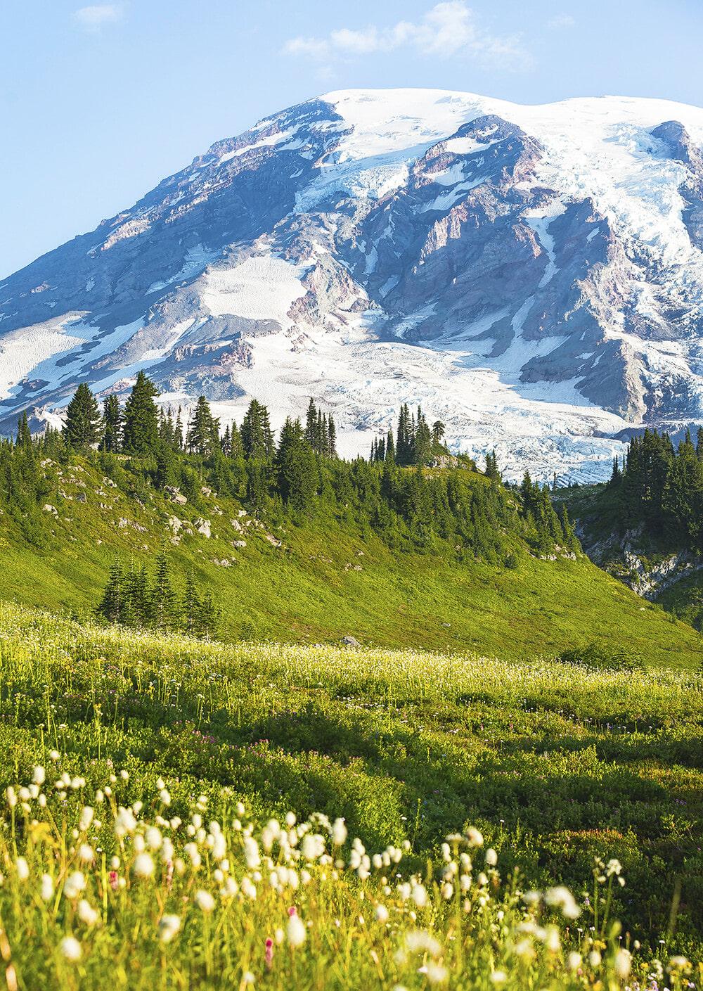 We Love Lights ! #21