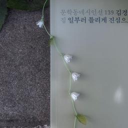 릴리 오브 더 밸리 은방울꽃 끈 책갈피