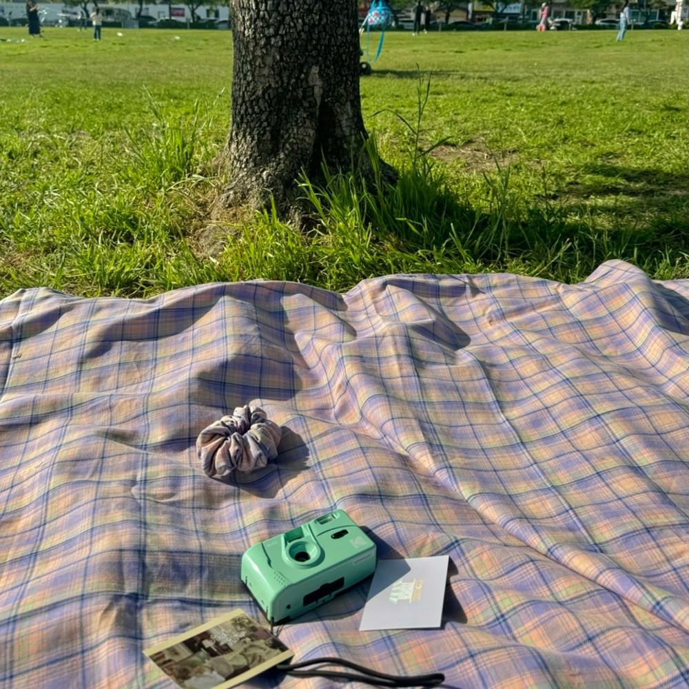 blueberry check picnic mat 감성 방수 소풍 예쁜 대형 돗자리