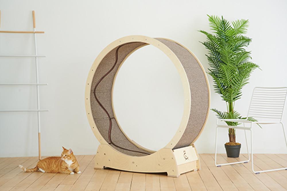 집사의반격 스타캣휠 최다판매 최다리뷰