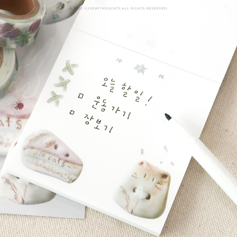 ⁞ 메모지 ⁞ 고양이의 나이트 티