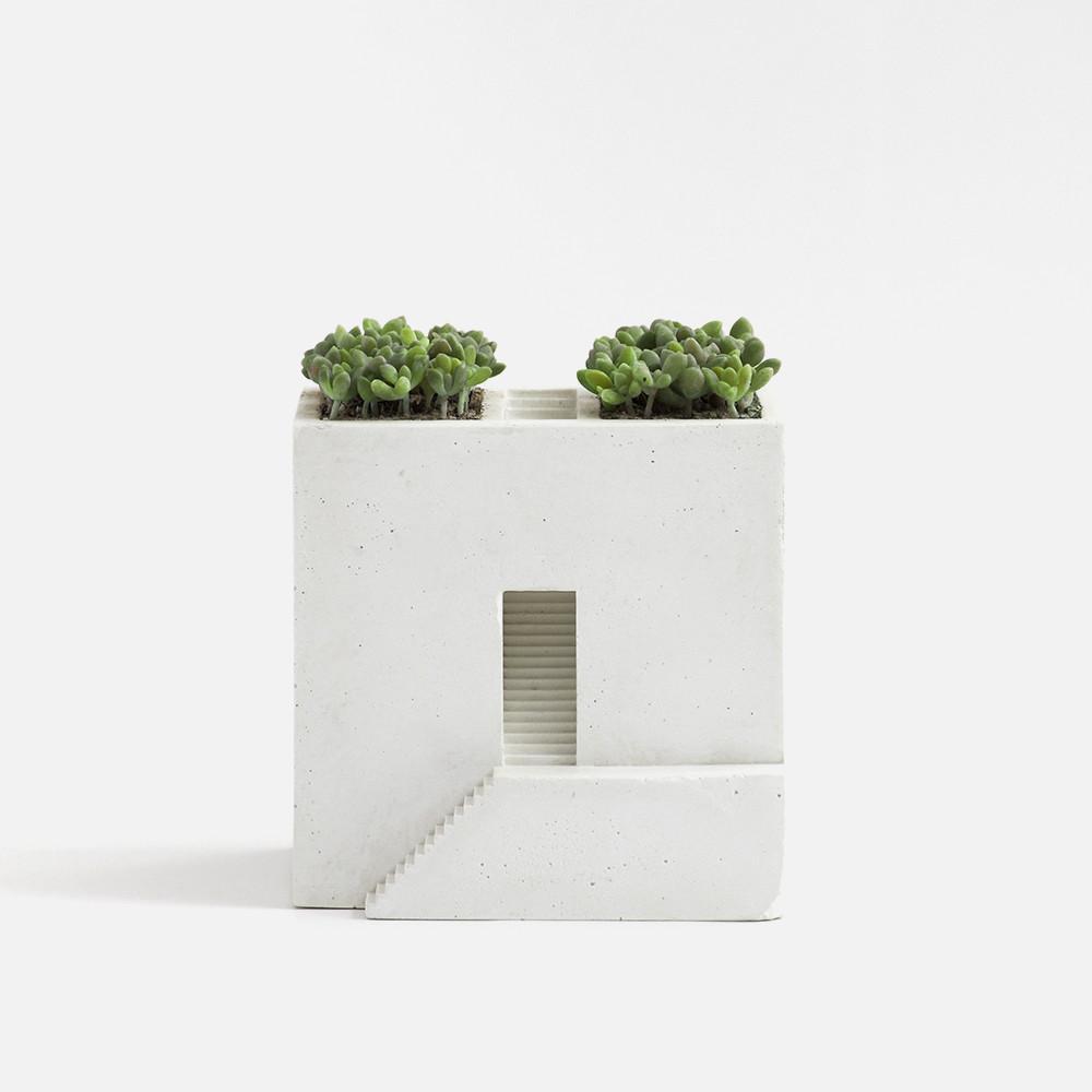 메타피스 ienemi(이에나미) tunnel - 화분 / 분재 / 이끼화분 / 테라리움