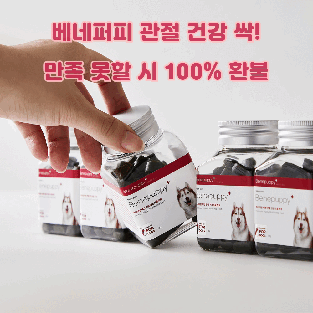 [특별가격]보스웰리아 초고함량 50,000ppm 1BOX(한달분) 베네퍼피 프리미엄 관절 영양제