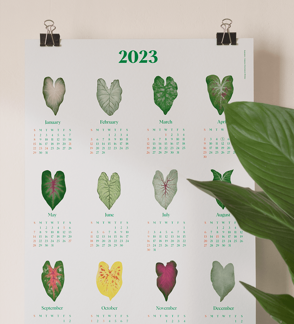 2023 식물 일러스트 캘린더 포스터 2세트