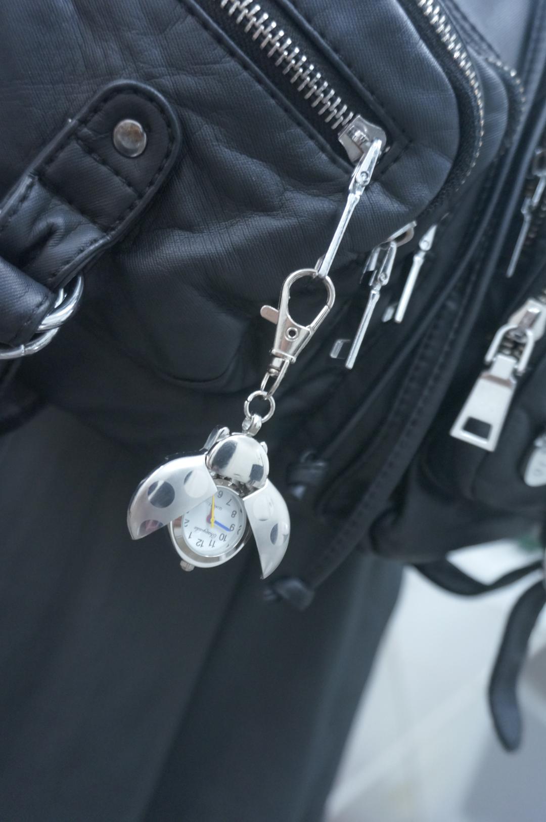 Ladybug key ring