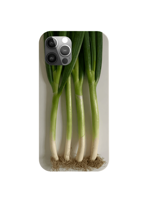 Leek card case