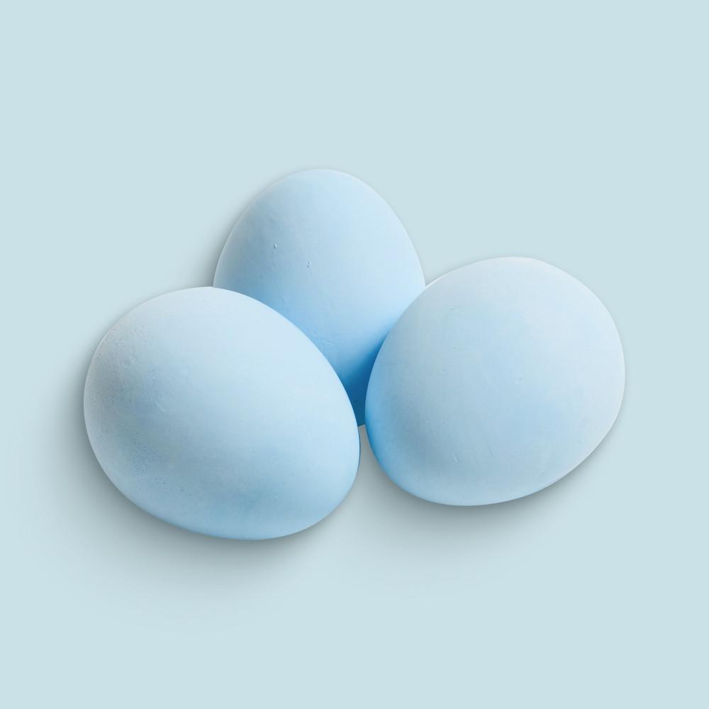 라이프스탠다드 냄새먹는달걀