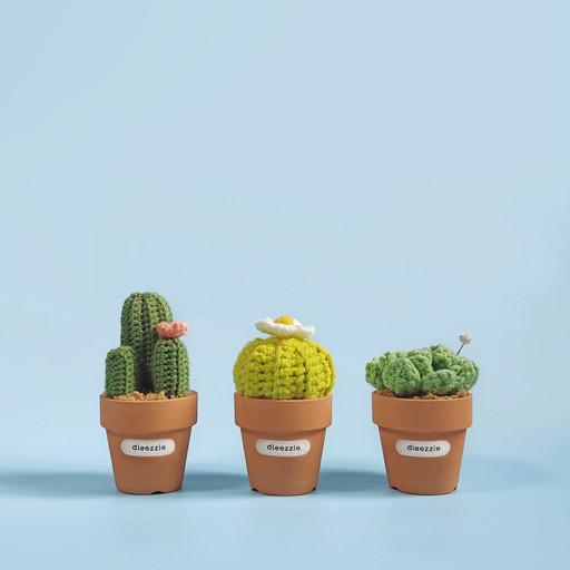 손뜨개 미니 다육이 화분🌵