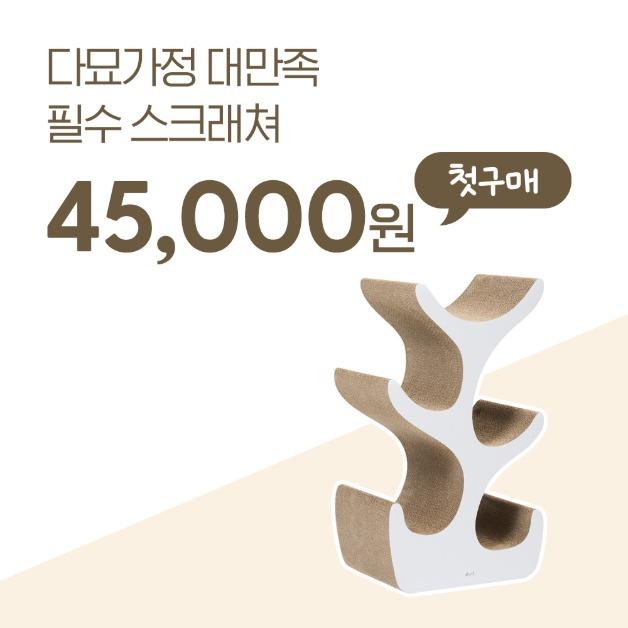 [첫구매 61% 할인💰] 두잇 키티트리