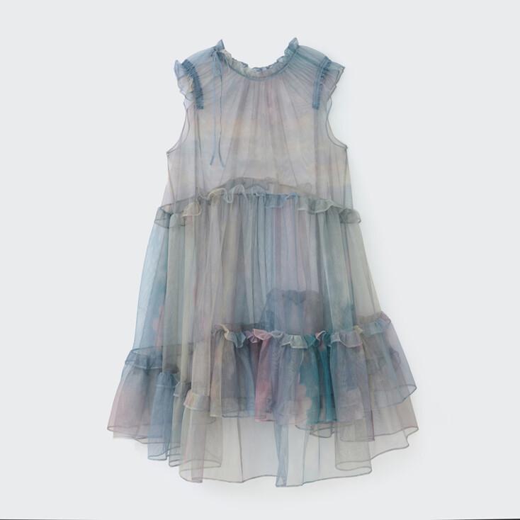 MESH RIBBON RUFFLE DRESS zinlloi X CSMS (ECHO)