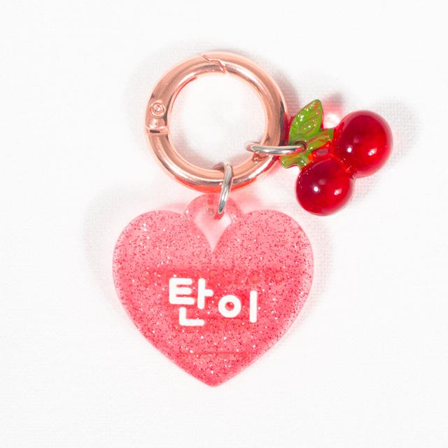 네임포네임 강아지 인식표 목걸이 고양이 이름표 고리 하네스 체리쥬빌레 반짝레드 주아체