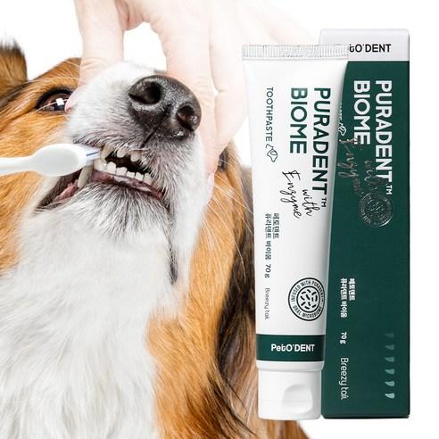 브리지테일 반려동물 페토덴트 퓨라덴트 바이옴 치약