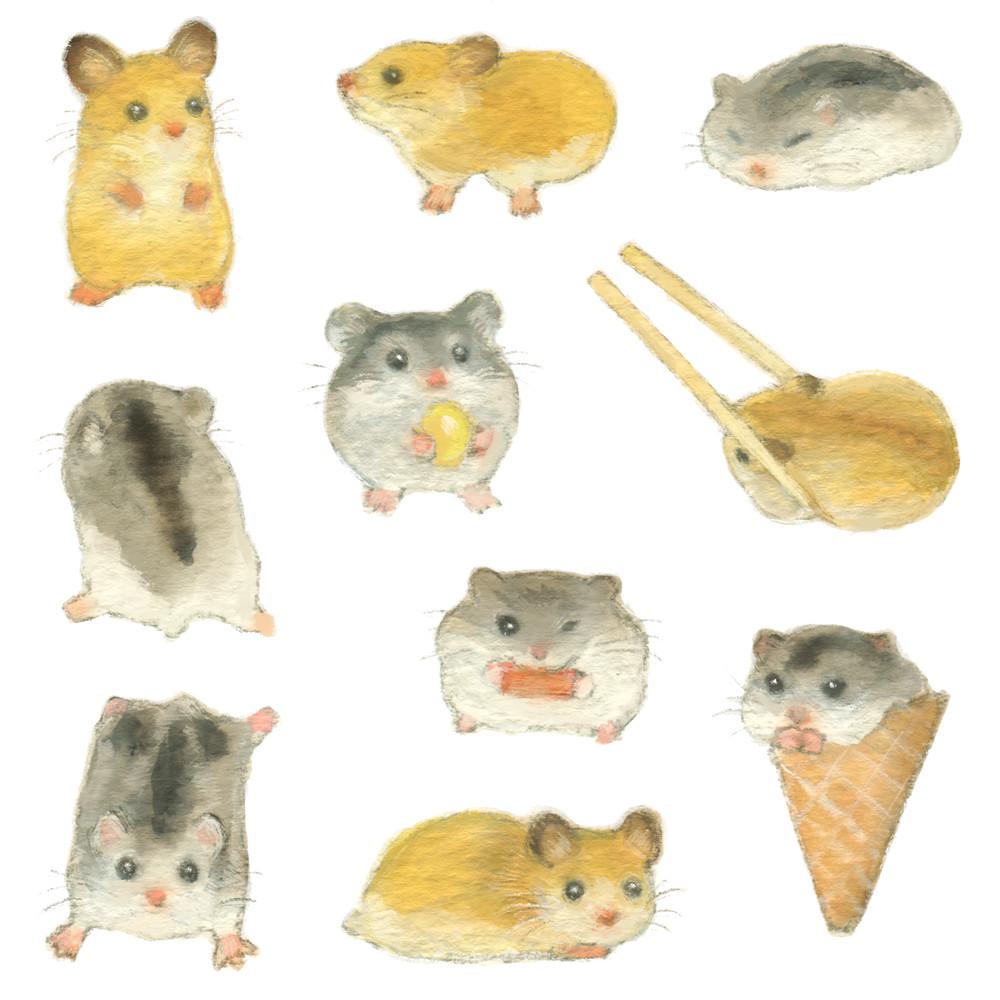 [은민] 햄스터 스티커