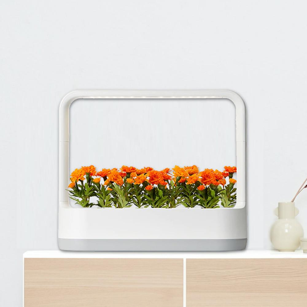 LG 틔운 미니 식물생활가전 식물재배기 L011W1