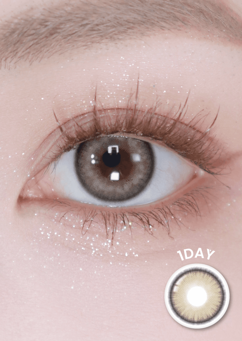 원데이 플랜토 애쉬 브라운(10p)