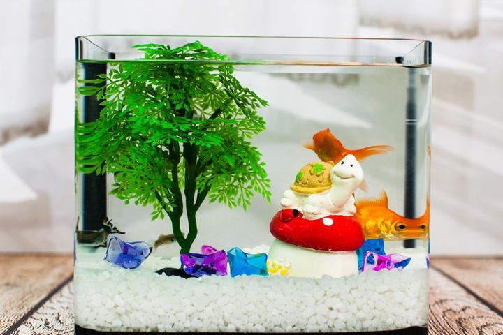 느티나무 달팽이 미니어항세트(소) 유리 수족관세트