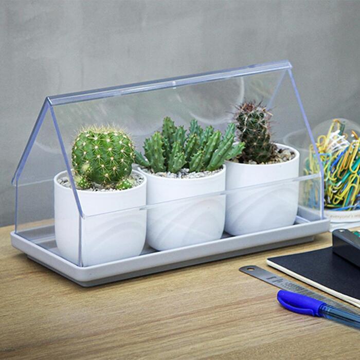 마이크로 그린하우스