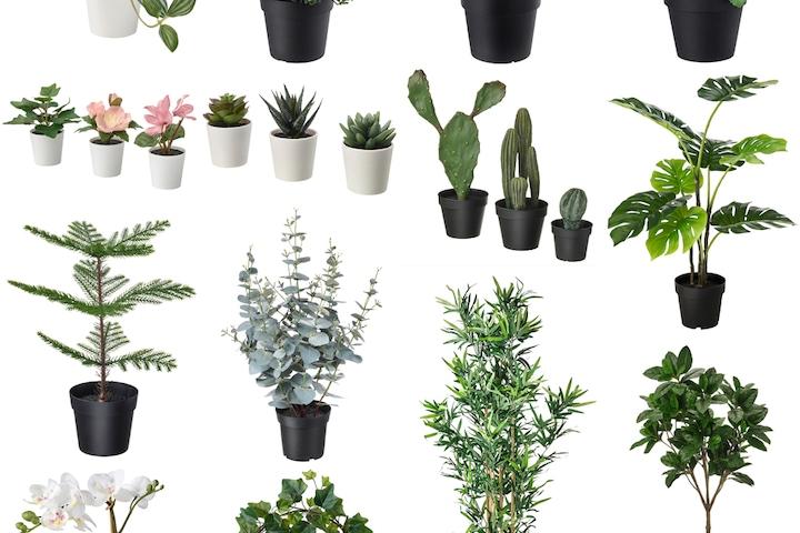 이케아 조화나무 인조화분 페이카 모음