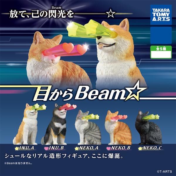 눈에서 Beam☆ 동물 미니 피규어 가챠