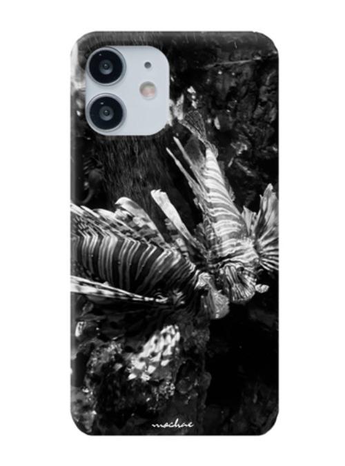 at the aquarium case