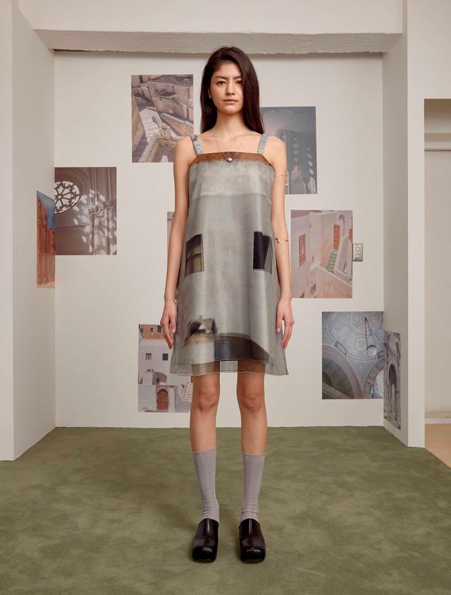 PRINTED ORGANZA SLEEVELESS DRESS