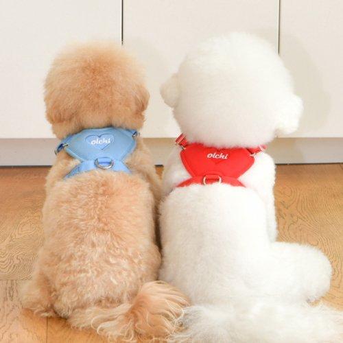 심쿵 하트 하네스 (OAXD-HH6605)