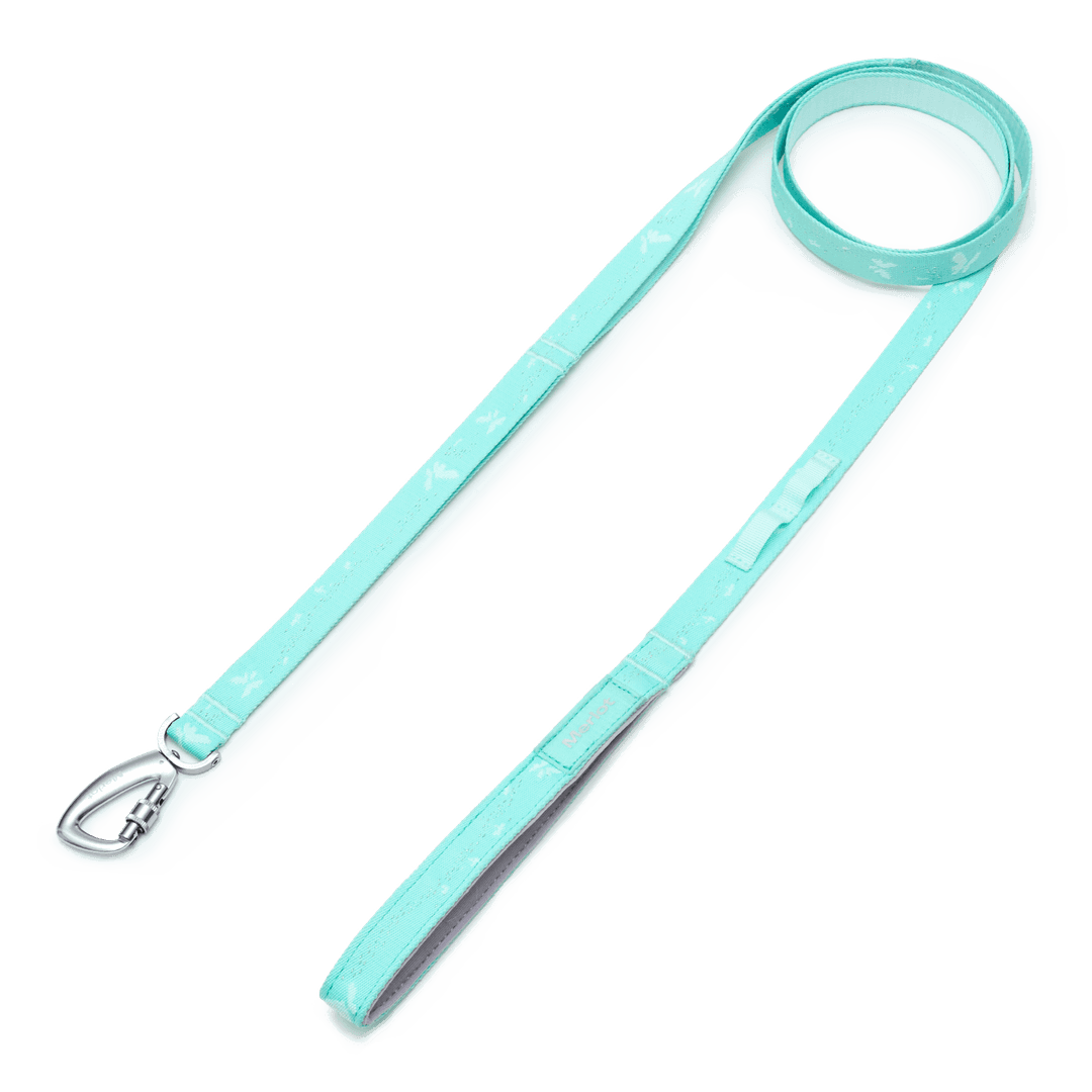 Posy™ Leash Forest