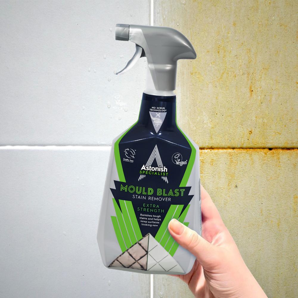 [본사] 아스토니쉬 곰팡이 제거제 벽지 줄눈 욕실 화장실 베란다 창틀 제거 750ml