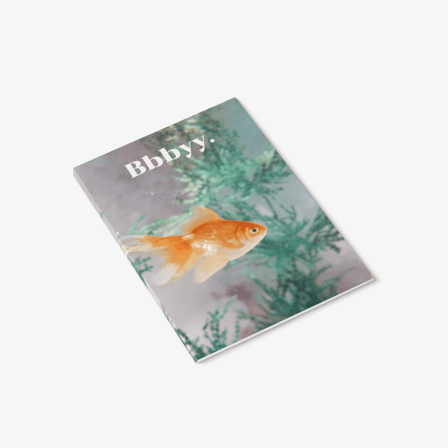 blueway shop   · ˚ * . ⋆˚ note 13 ㅣ 마플샵