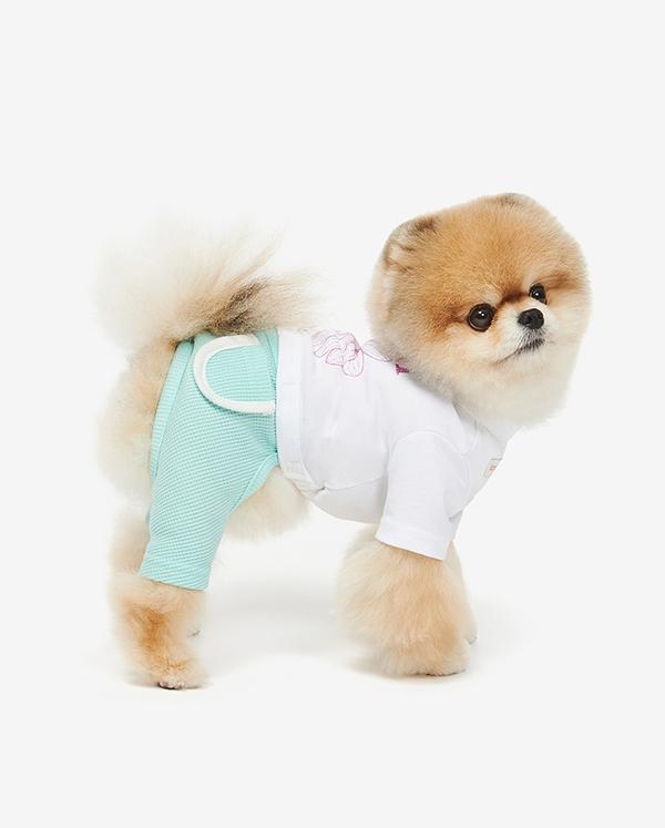 마르디 메크르디 썸머 와플 올인원 l 샤이닝민트