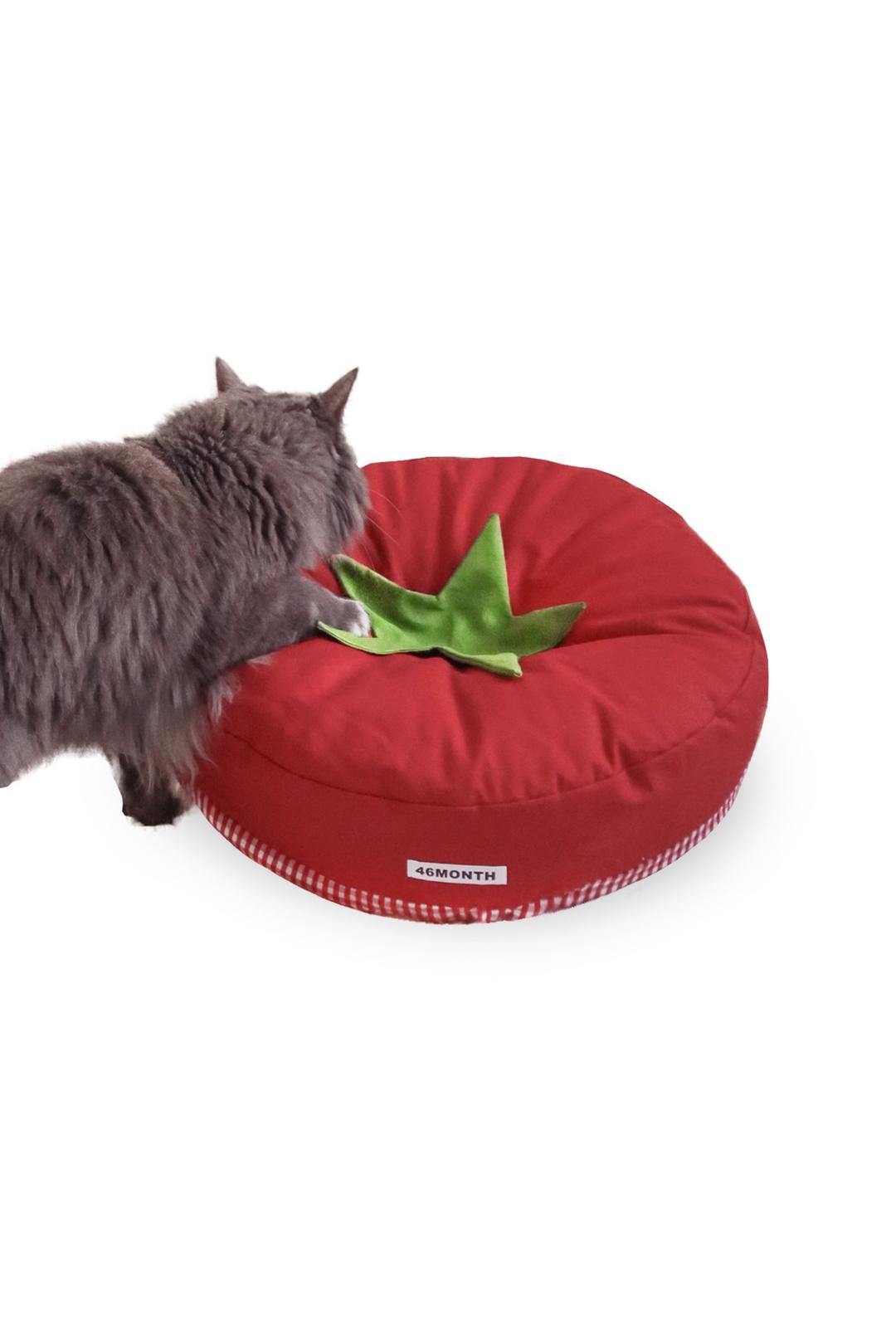 tomato pet cushion