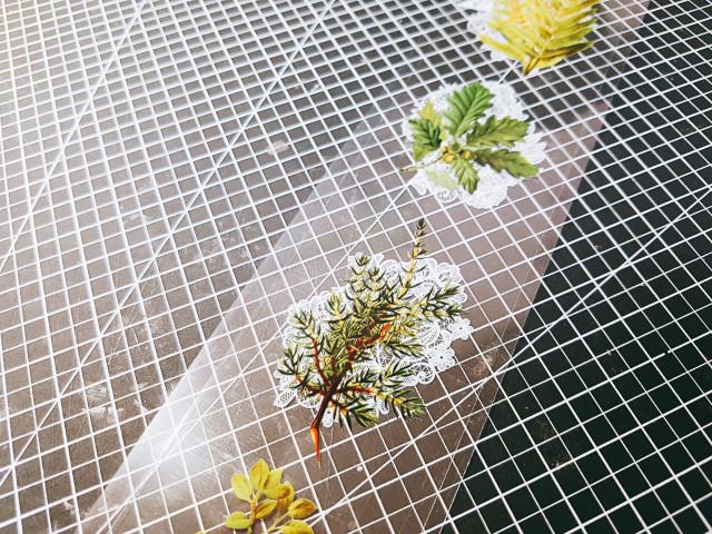 투명롤이형지 [ 박테컷 / 박테말이 / 박스테이프]