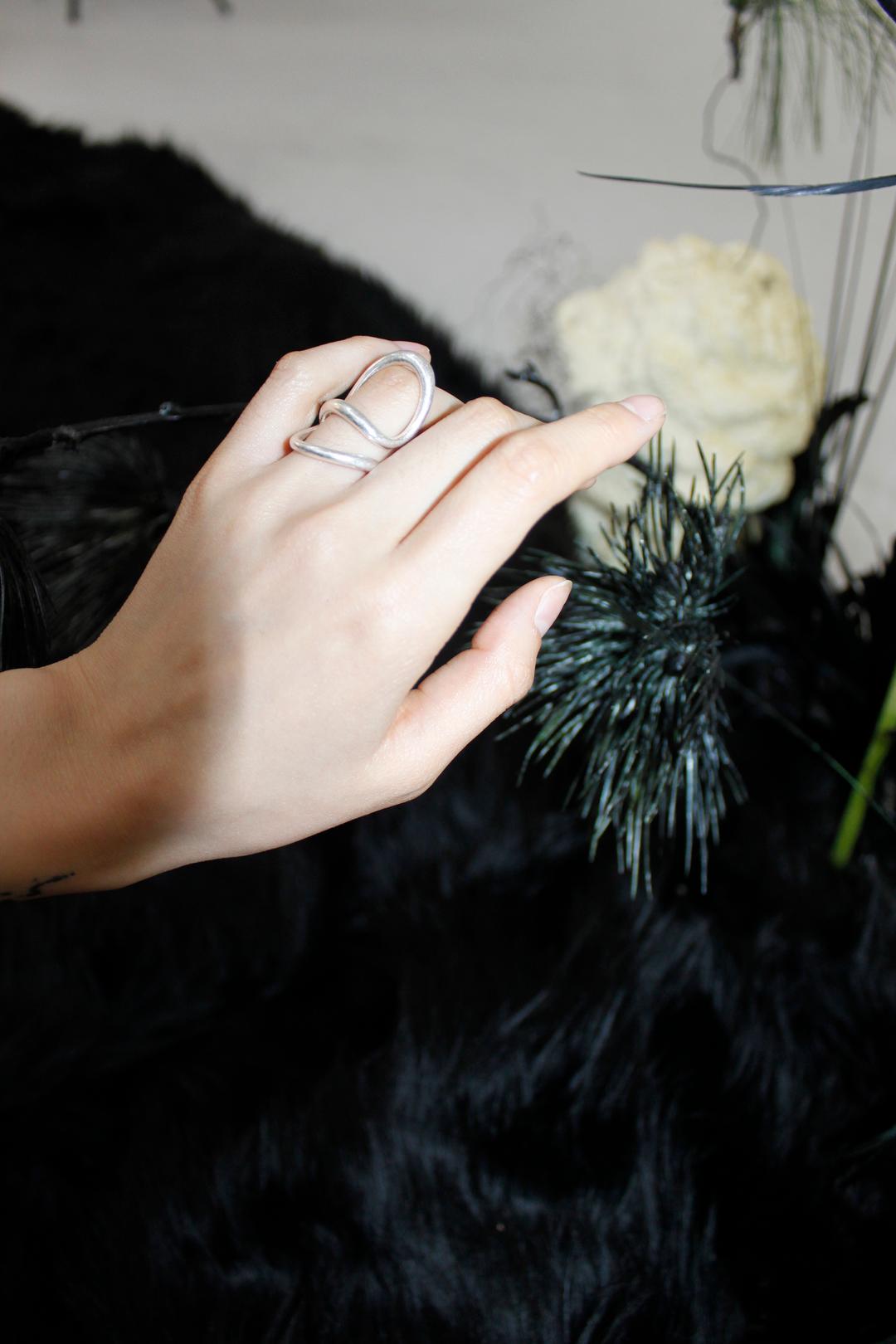 歲寒松柏 Door ring